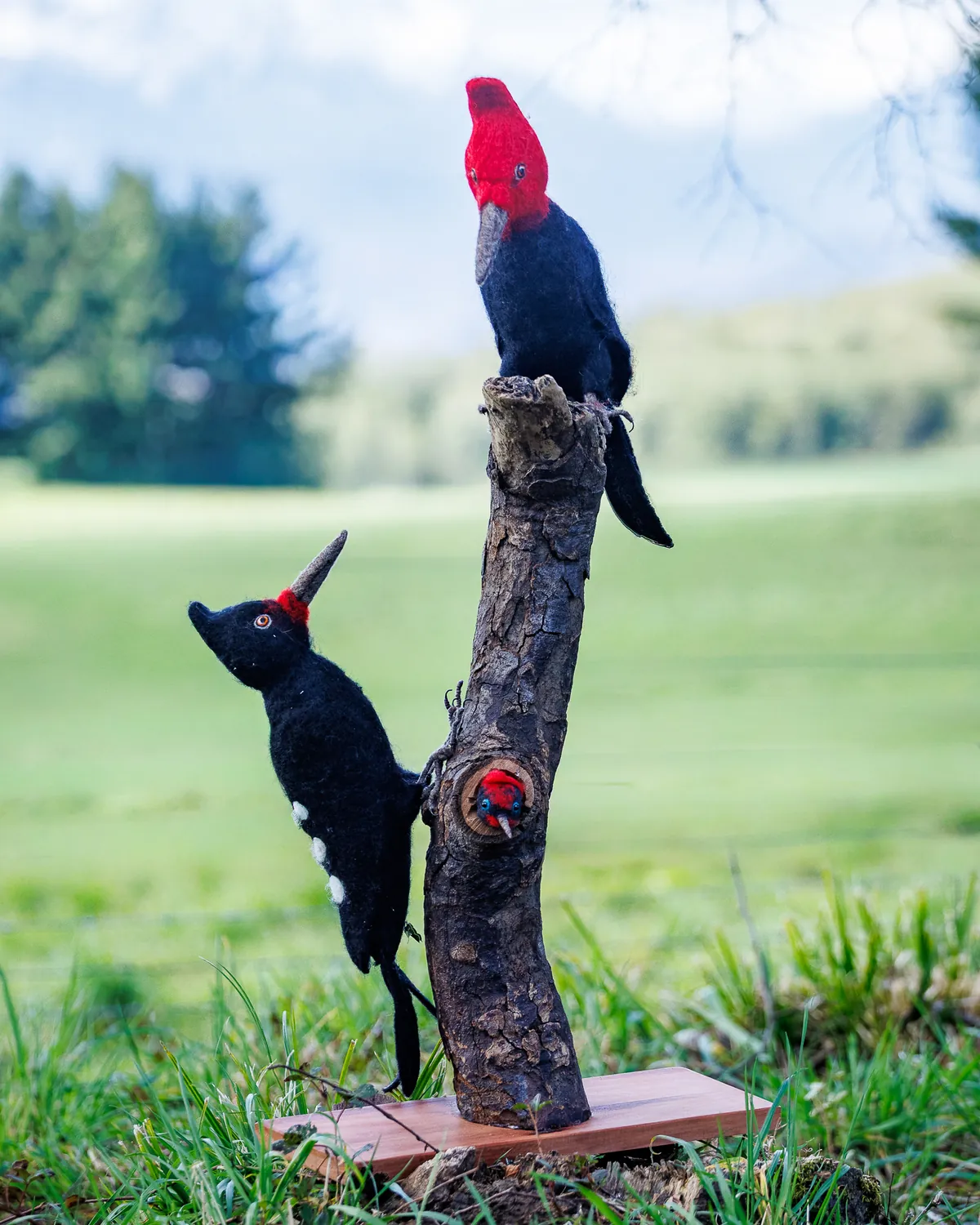 Escena de fieltro de aguja con una familia de carpinteros negros: el macho de cabeza roja sobre el tronco, la hembra trepando y el pollito asomado del nido