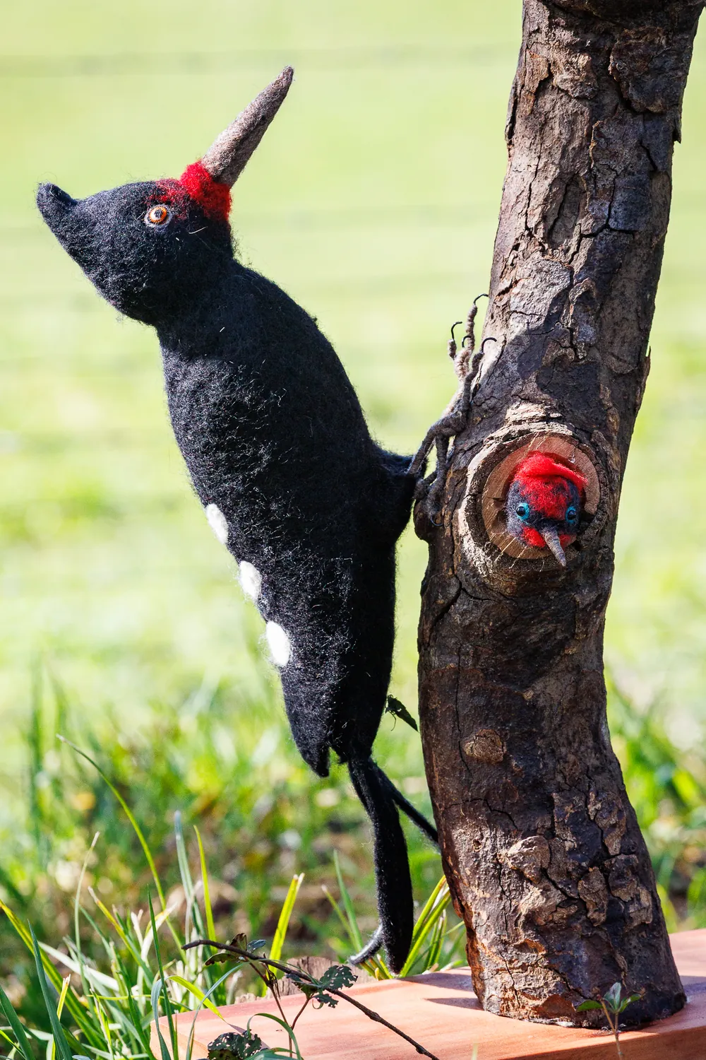 Escena de fieltro de aguja con una familia de carpinteros negros: el macho de cabeza roja sobre el tronco, la hembra trepando y el pollito asomado del nido
