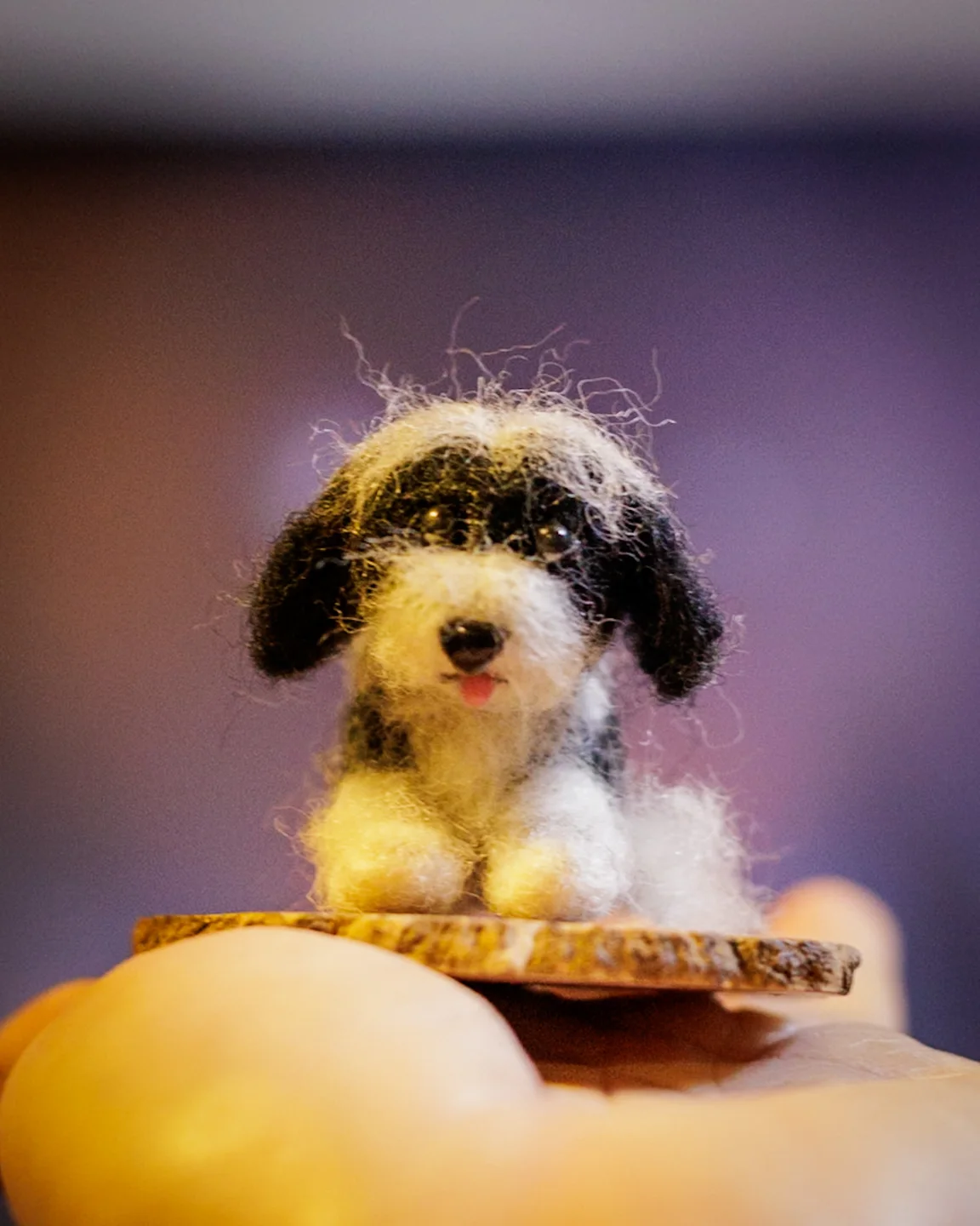 Miniatura de perro lanudo blanco y negro en fieltro de aguja